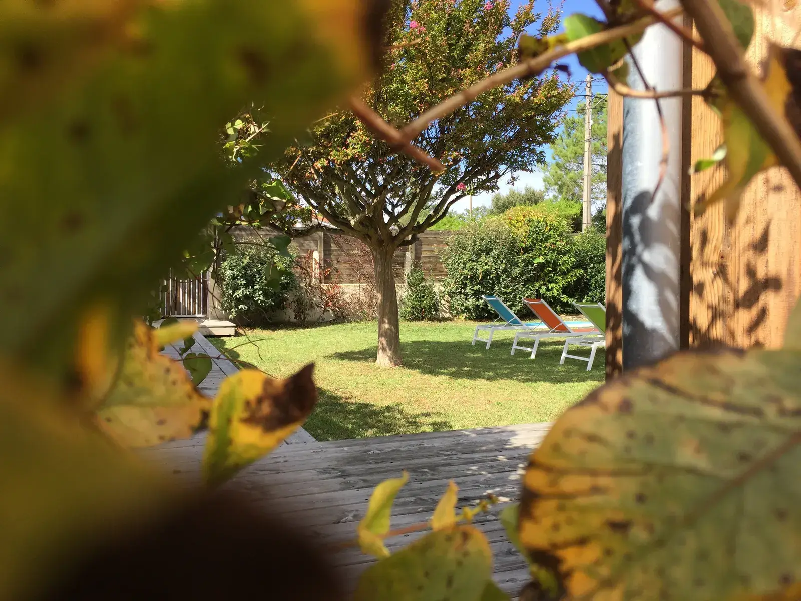 Le jardin arboré de 700 m²